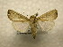  ( - 10-CRBS-973)  @14 [ ] No Rights Reserved (2010) James Sullivan Research Collection of J. B. Sullivan