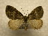  ( - 10-CRBS-1067)  @14 [ ] No Rights Reserved (2010) James Sullivan Research Collection of J. B. Sullivan