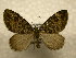  ( - 10-CRBS-1069)  @14 [ ] No Rights Reserved (2010) James Sullivan Research Collection of J. B. Sullivan