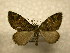  ( - 10-CRBS-1070)  @14 [ ] No Rights Reserved (2010) James Sullivan Research Collection of J. B. Sullivan