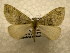  ( - 10-CRBS-1079)  @13 [ ] No Rights Reserved (2010) James Sullivan Research Collection of J. B. Sullivan