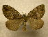  ( - 10-CRBS-1080)  @14 [ ] No Rights Reserved (2010) James Sullivan Research Collection of J. B. Sullivan