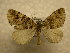  ( - 10-CRBS-1087)  @13 [ ] No Rights Reserved (2010) James Sullivan Research Collection of J. B. Sullivan