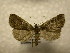  ( - 10-CRBS-1125)  @12 [ ] No Rights Reserved (2010) James Sullivan Research Collection of J. B. Sullivan