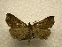 ( - 10-CRBS-1127)  @13 [ ] No Rights Reserved (2010) James Sullivan Research Collection of J. B. Sullivan