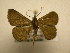 ( - 10-CRBS-1281)  @13 [ ] No Rights Reserved (2010) James Sullivan Research Collection of J. B. Sullivan