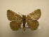  ( - 10-CRBS-1293)  @13 [ ] No Rights Reserved (2010) James Sullivan Research Collection of J. B. Sullivan