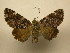  ( - 10-CRBS-1318)  @14 [ ] No Rights Reserved (2010) James Sullivan Research Collection of J. B. Sullivan
