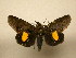  ( - 10-CRBS-1339)  @14 [ ] No Rights Reserved (2010) James Sullivan Research Collection of J. B. Sullivan