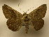  ( - 10-CRBS-1402)  @14 [ ] No Rights Reserved (2010) James Sullivan Research Collection of J. B. Sullivan