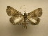  ( - 10-CRBS-1409)  @12 [ ] No Rights Reserved (2010) James Sullivan Research Collection of J. B. Sullivan