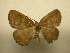  ( - 10-CRBS-1438)  @14 [ ] No Rights Reserved (2010) James Sullivan Research Collection of J. B. Sullivan