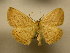  ( - 10-CRBS-1570)  @14 [ ] No Rights Reserved (2010) James Sullivan Research Collection of J. B. Sullivan