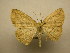  ( - 10-CRBS-1579)  @13 [ ] No Rights Reserved (2010) James Sullivan Research Collection of J. B. Sullivan