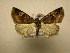  ( - 10-CRBS-1695)  @14 [ ] No Rights Reserved (2010) James Sullivan Research Collection of J. B. Sullivan