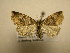  ( - 10-CRBS-1707)  @14 [ ] No Rights Reserved (2010) James Sullivan Research Collection of J. B. Sullivan
