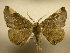  ( - 10-CRBS-1737)  @14 [ ] No Rights Reserved (2010) James Sullivan Research Collection of J. B. Sullivan