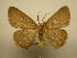  ( - 10-CRBS-1750)  @14 [ ] No Rights Reserved (2010) James Sullivan Research Collection of J. B. Sullivan
