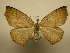  ( - 10-CRBS-1759)  @13 [ ] No Rights Reserved (2010) James Sullivan Research Collection of J. B. Sullivan