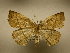  ( - 10-CRBS-1786)  @14 [ ] No Rights Reserved (2010) James Sullivan Research Collection of J. B. Sullivan