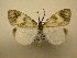  ( - 10-CRBS-1860)  @13 [ ] No Rights Reserved (2010) James Sullivan Research Collection of J. B. Sullivan