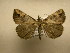  ( - 10-CRBS-1872)  @14 [ ] No Rights Reserved (2010) James Sullivan Research Collection of J. B. Sullivan