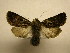  ( - 10-CRBS-2052)  @14 [ ] No Rights Reserved (2010) James Sullivan Research Collection of J. B. Sullivan