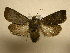  ( - 10-CRBS-2071)  @14 [ ] No Rights Reserved (2010) James Sullivan Research Collection of J. B. Sullivan