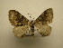 ( - 10-CRBS-2133)  @14 [ ] No Rights Reserved (2010) James Sullivan Research Collection of J. B. Sullivan