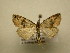  ( - 10-CRBS-2295)  @13 [ ] No Rights Reserved (2010) James Sullivan Research Collection of J. B. Sullivan