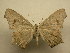  ( - 10-CRBS-2472)  @14 [ ] No Rights Reserved (2010) James Sullivan Research Collection of J. B. Sullivan
