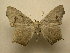  ( - 10-CRBS-2474)  @14 [ ] No Rights Reserved (2010) James Sullivan Research Collection of J. B. Sullivan