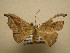  ( - 10-CRBS-2572)  @12 [ ] No Rights Reserved (2010) James Sullivan Research Collection of J. B. Sullivan