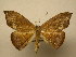  ( - 10-CRBS-2580)  @14 [ ] No Rights Reserved (2010) James Sullivan Research Collection of J. B. Sullivan