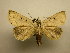  ( - 10-CRBS-2606)  @13 [ ] No Rights Reserved (2010) James Sullivan Research Collection of J. B. Sullivan