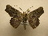  ( - 10-CRBS-2641)  @14 [ ] No Rights Reserved (2010) James Sullivan Research Collection of J. B. Sullivan