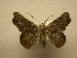  ( - 10-CRBS-2644)  @14 [ ] No Rights Reserved (2010) James Sullivan Research Collection of J. B. Sullivan