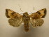  ( - 10-CRBS-2679)  @14 [ ] No Rights Reserved (2010) James Sullivan Research Collection of J. B. Sullivan