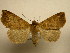  ( - 10-CRBS-2711)  @14 [ ] No Rights Reserved (2010) James Sullivan Research Collection of J. B. Sullivan
