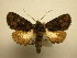  ( - 10-CRBS-2732)  @14 [ ] No Rights Reserved (2010) James Sullivan Research Collection of J. B. Sullivan