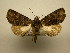  ( - 10-CRBS-2734)  @14 [ ] No Rights Reserved (2010) James Sullivan Research Collection of J. B. Sullivan