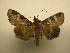  ( - 10-CRBS-2742)  @14 [ ] No Rights Reserved (2010) James Sullivan Research Collection of J. B. Sullivan