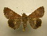  ( - 10-CRBS-2743)  @14 [ ] No Rights Reserved (2010) James Sullivan Research Collection of J. B. Sullivan