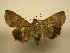  ( - 10-CRBS-2744)  @14 [ ] No Rights Reserved (2010) James Sullivan Research Collection of J. B. Sullivan