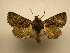 ( - 10-CRBS-2748)  @14 [ ] No Rights Reserved (2010) James Sullivan Research Collection of J. B. Sullivan