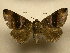  ( - 11-CRBS-127)  @13 [ ] No Rights Reserved (2011) JB Sullivan Research Collection of J. B. Sullivan