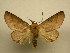  ( - 11-CRBS-169)  @13 [ ] No Rights Reserved (2011) JB Sullivan Research Collection of J. B. Sullivan