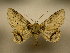  ( - 11-CRBS-0231)  @14 [ ] No Rights Reserved  JB Sullivan Unspecified