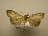  (Motya Sullivan9045 - 11-CRBS-0334)  @13 [ ] No Rights Reserved (2010) James Sullivan Research Collection of J. B. Sullivan
