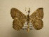  ( - 11-CRBS-590)  @12 [ ] No Rights Reserved (2010) James Sullivan Research Collection of J. B. Sullivan